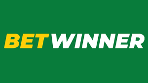 Discover the BetWinner Platform Your Ultimate Betting Destination!